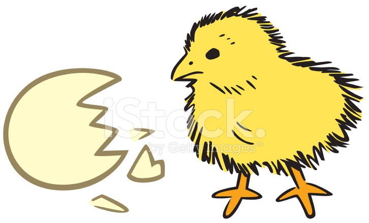 Baby Chick Vector at GetDrawings | Free download