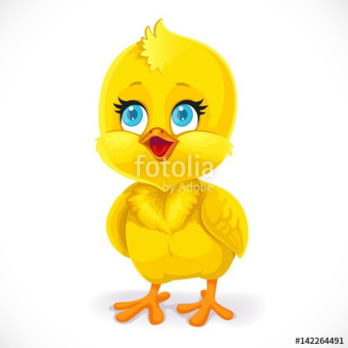 500x500 Cute Little Baby Chick Isolated On A White Background Stock Image