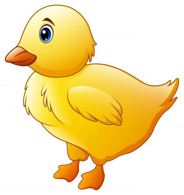 626x666 Cute Little Baby Chick Isolated On A White Background Vector