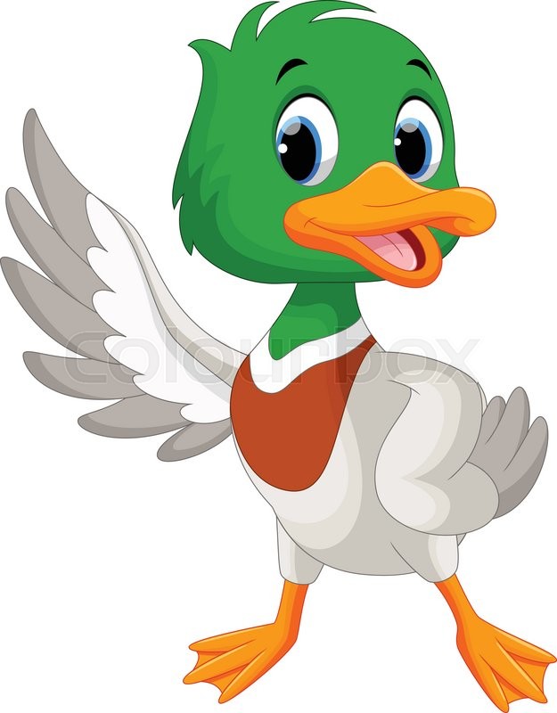 625x800 Vector Illustration Of Cute Baby Duck Waving Its Wings Isolated On