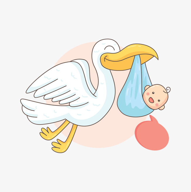 650x651 Pelican Clipart Baby ~ Frames ~ Illustrations ~ Hd Images ~ Photo