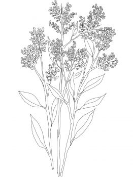 262x350 Bouquet Clipart Babys Breath