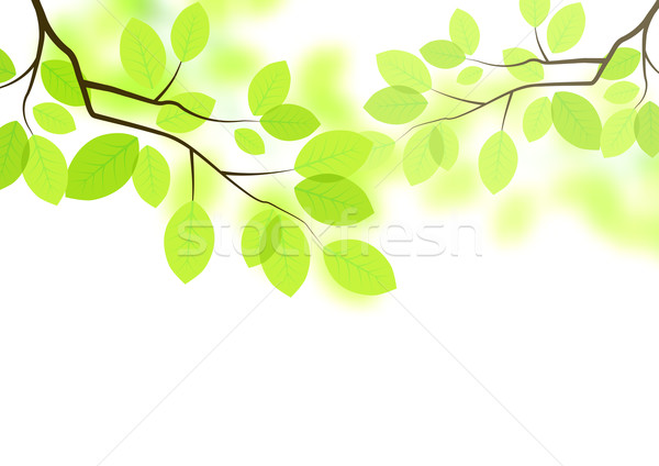 600x424 Vector Leaves Background Vector Illustration James Thew