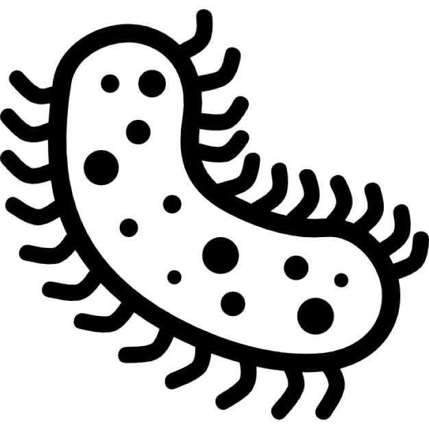 626x626 Bacteria Icons Free Download