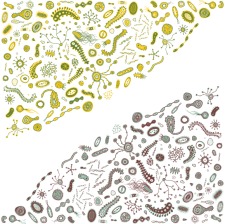 225x224 Bacteria Vector Free Vector 4vector