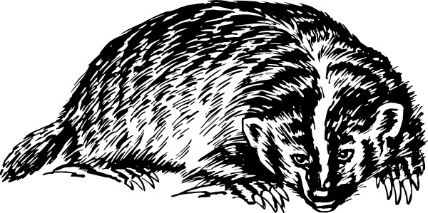 600x299 Badger Vector Free Vector Download (3 Free Vector) For Commercial