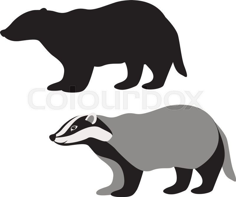 800x668 Badger Vector Illustration Style Flat Black Silhouette Stock