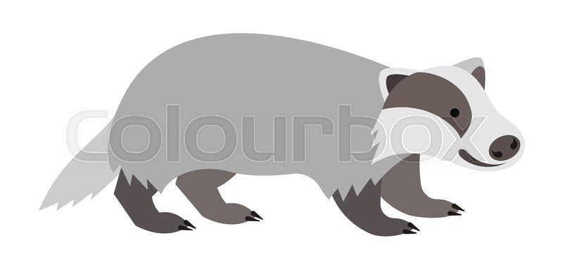 800x383 Cute Smiling Badger Vector Cartoon Illustration. Wild Zoo Animal