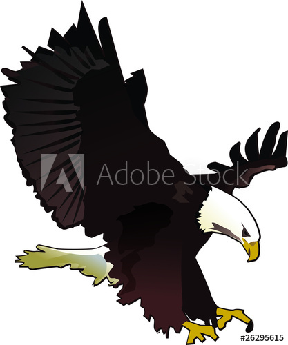 417x500 Bald Eagle Vector Illustration