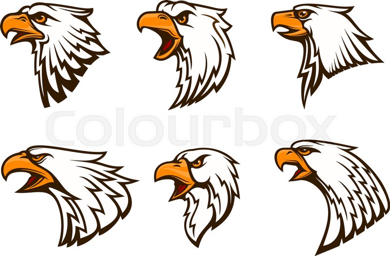 800x526 Bald Eagle Vector Emblems Set. Isolated Icons Of Hawk With Beak