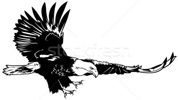 600x338 Flying Bald Eagle Vector Illustration Roman Dekan (Derocz