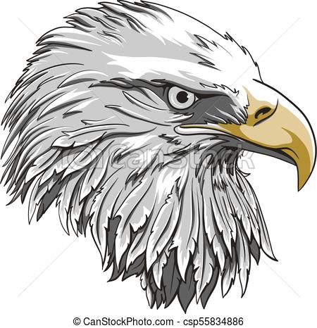 450x466 Web. Eagle Head Logo Template, Hawk Mascot Graphic, Portrait Of A