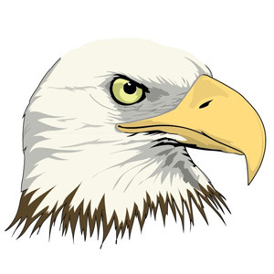 300x300 Eagle