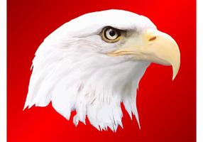 286x200 Bald Eagle Vector