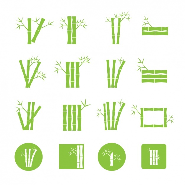 626x626 Bamboo Vectors, Photos And Psd Files Free Download