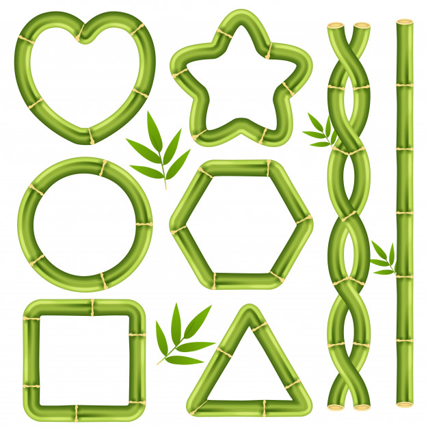 626x626 Bamboo Border Vector Premium Download