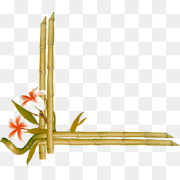 260x260 15 Bamboo Clipart Bamboo Design For Free Download On Mbtskoudsalg