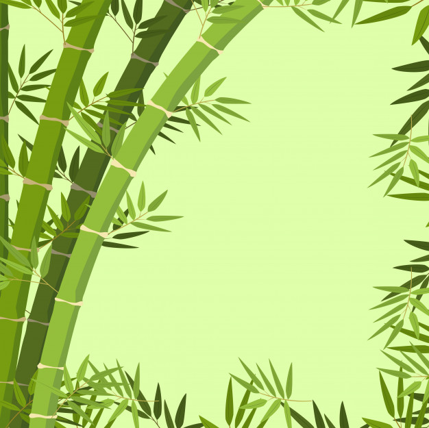 Bamboo Border Vector at GetDrawings | Free download