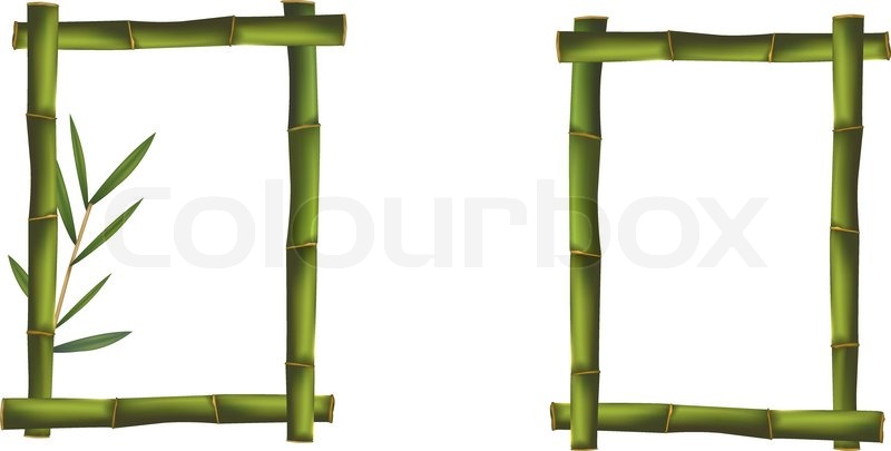 800x405 Green Bamboo Frames. Vector. Stock Vector Colourbox