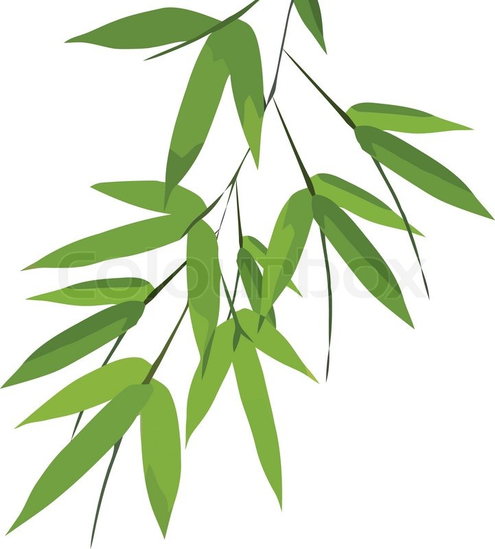 721x800 Bamboo Leaves, Vector Stock Vector Colourbox