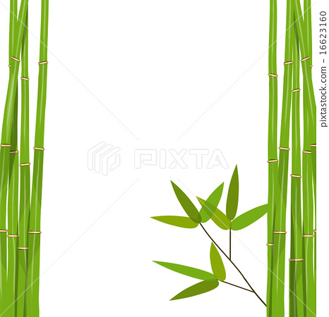 466x450 Colorful Stems And Bamboo Leaves. Vector Illustration.