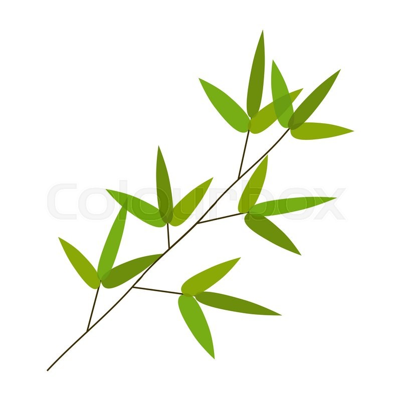 800x800 Colourful Bamboo Leaves. Vector Illustration. Eps10 Stock Vector