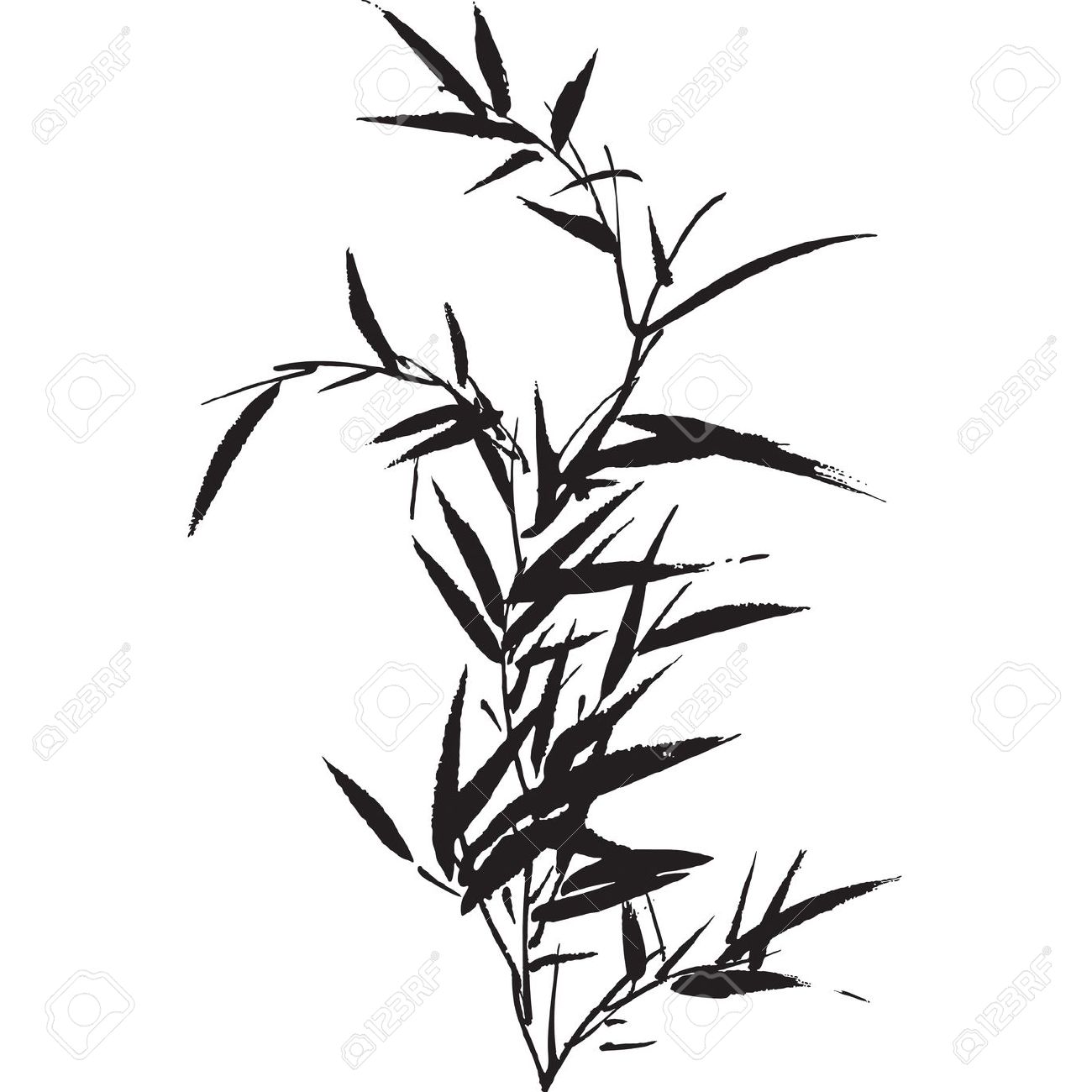 1300x1300 Drawn Bamboo Bamboo Leaf Free Collection Download And Share
