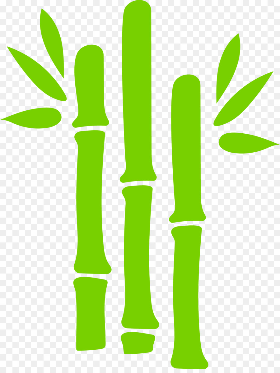900x1200 Green Bamboo Euclidean Vector
