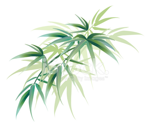 524x440 Tropical Bamboo Leaves Decoration Green Stock Vector