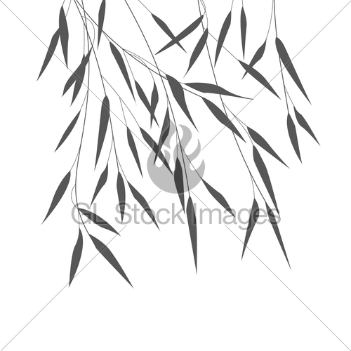 500x500 Vector Bamboo Leaves Gl Stock Images