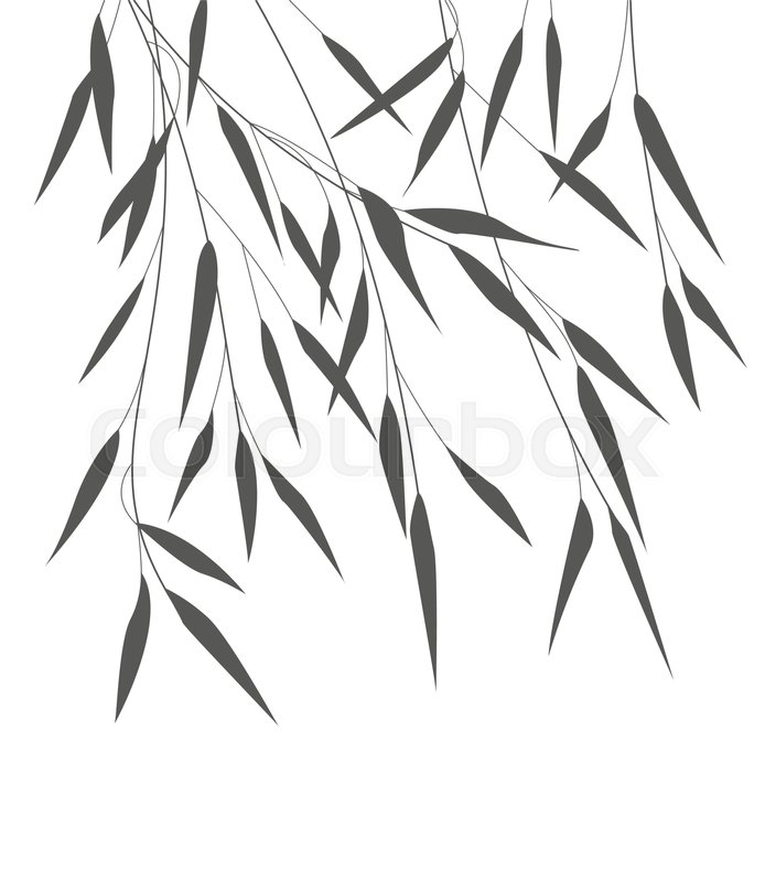 694x800 Vector Illustration Bamboo Leaves. Background With Black Leaves