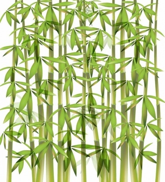 334x368 Bamboo Free Vector Download (226 Free Vector) For Commercial Use