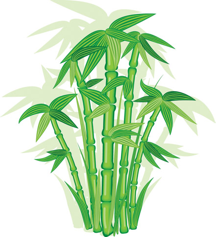 441x483 Bamboo Vector Free Vector 4vector