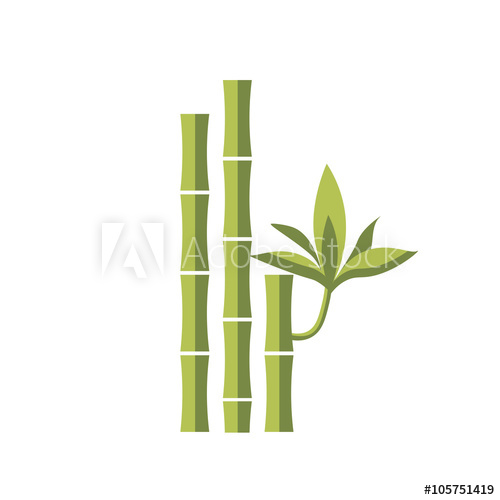 500x500 Bamboo Vector Flat Illustration. Leaf Green Design, Japanese And