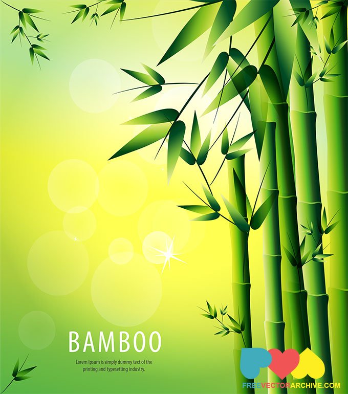 680x770 Free Bamboo Vector Background Illustration Psd Files, Vectors