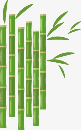 262x419 Vector Bamboo, Bamboo Vector, Vector, Hand Painted Png And Vector