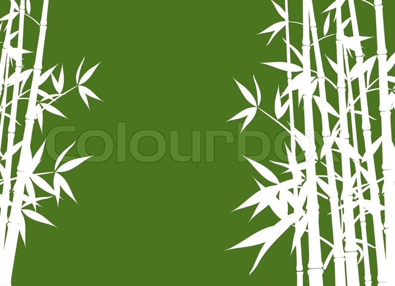 800x579 Bamboo, Vector Illustration Stock Vector Colourbox