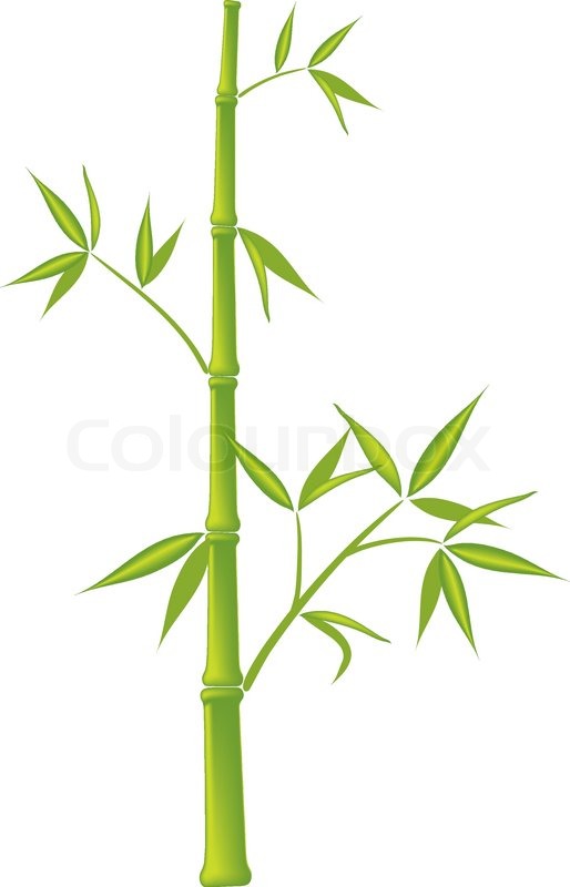 514x800 Bamboo,vector Illustration (Mesh) Stock Vector Colourbox