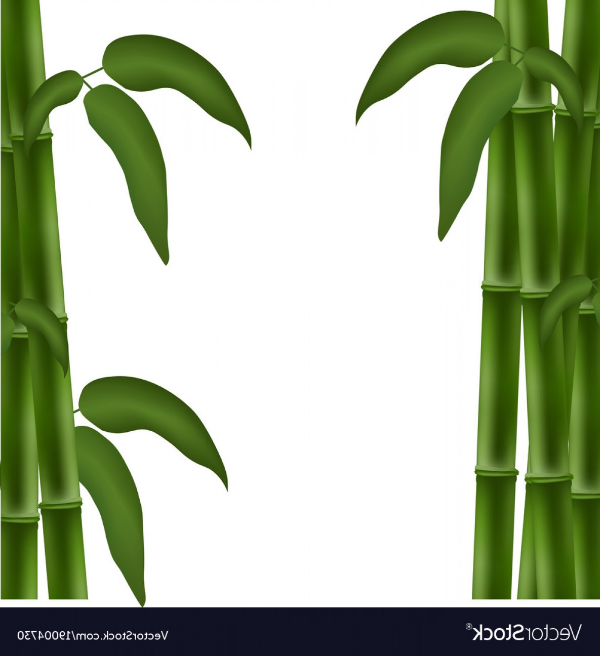 1185x1296 Bamboo Poster Template For Design Vector Shopatcloth