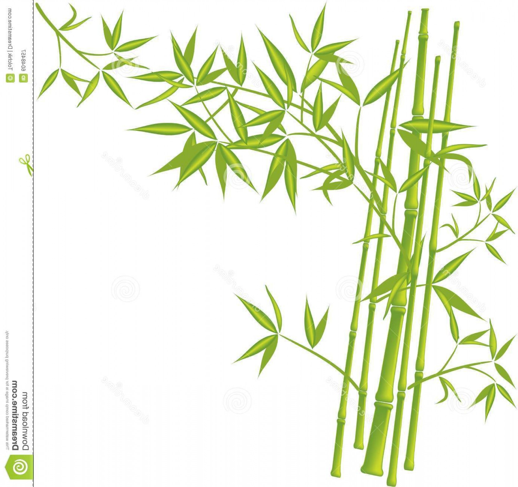 1660x1560 Chinese Bamboo Vector Art Geekchicpro