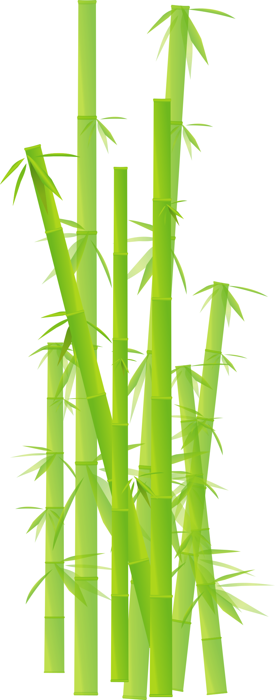 943x2400 Collection Of Free Bamboo Vector Art. Download On Ubisafe