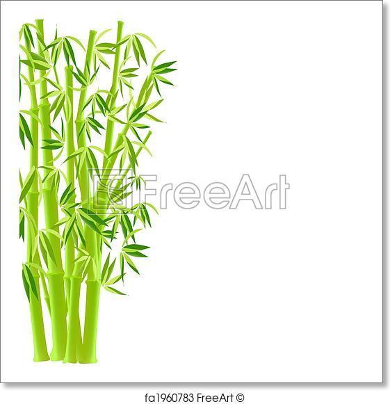 561x581 Free Art Print Of Vector. Bamboo. Vector. Bamboo Freeart Fa1960783