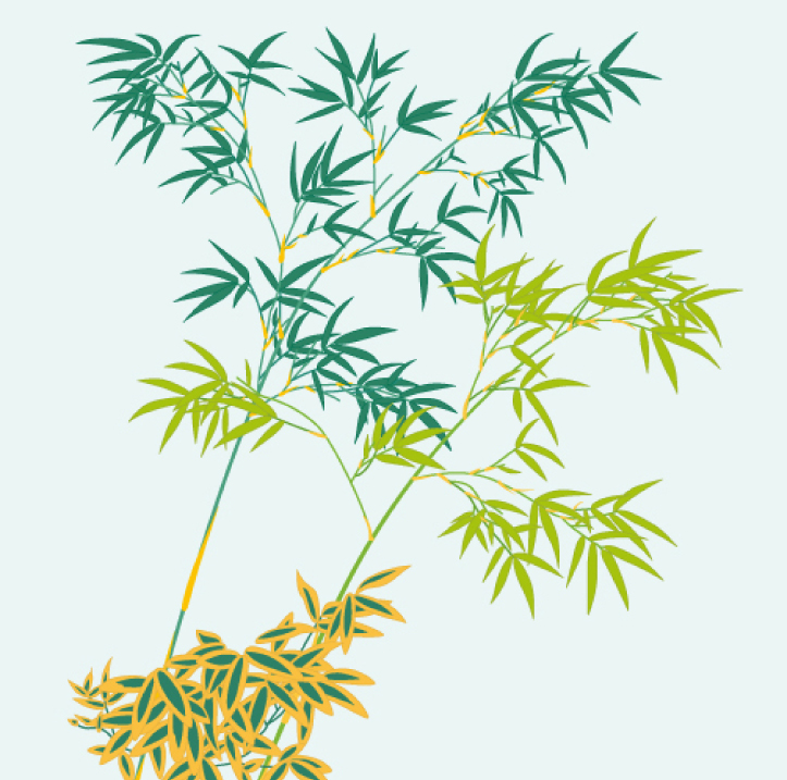 723x717 Bamboo Vector Free Vector Graphic Download