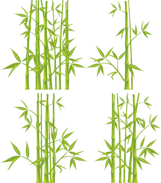 564x638 Bamboo Vector Free Vector 4vector