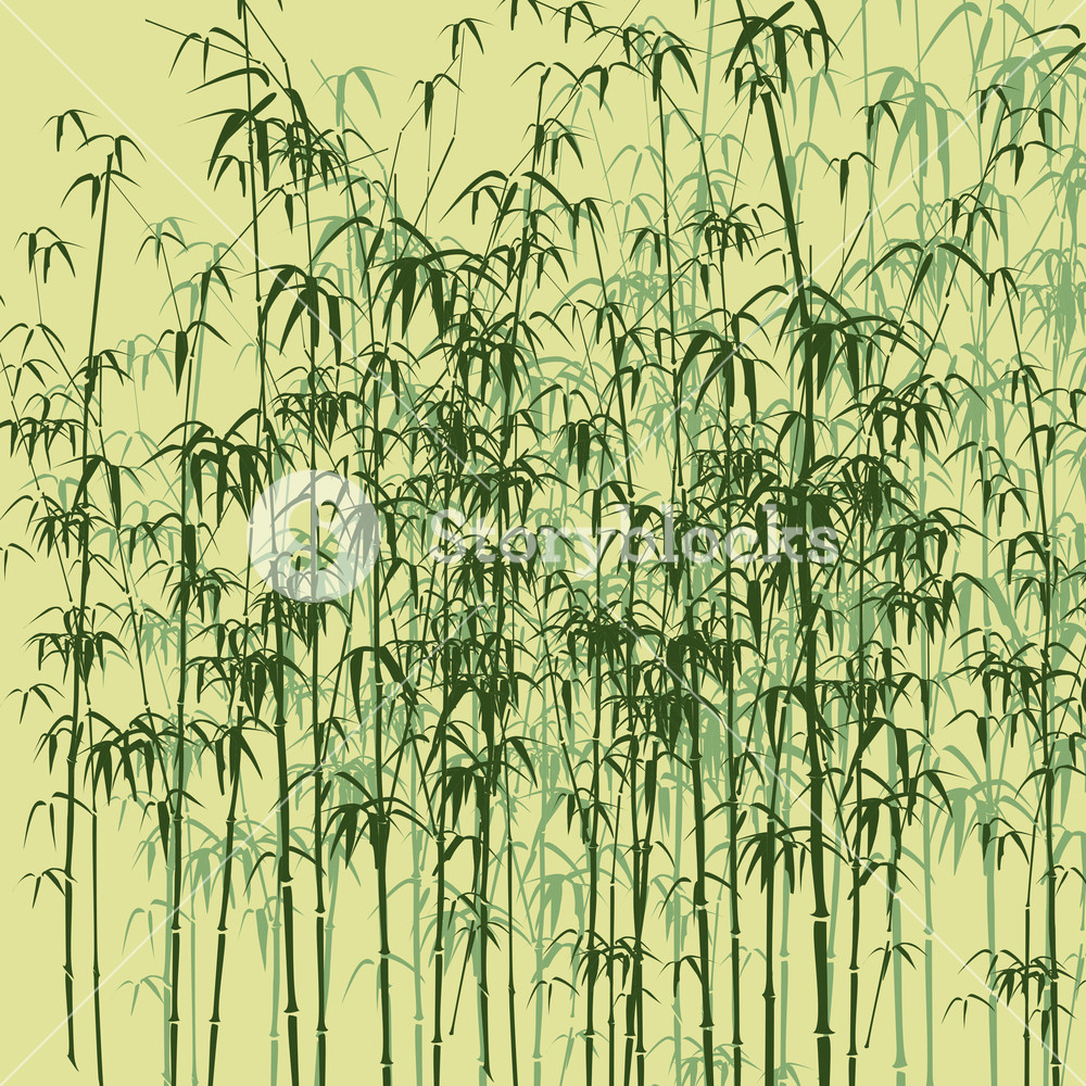 1000x1000 Background With Bamboo. Vector Illustration. Royalty Free Stock