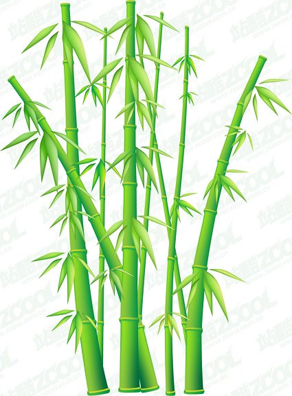 425x577 Free Green Bamboo Clipart And Vector Graphics