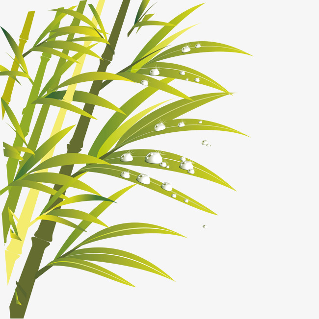 650x651 Green Bamboo Vector, Green Vector, Bamboo Vector, Bamboo Vector