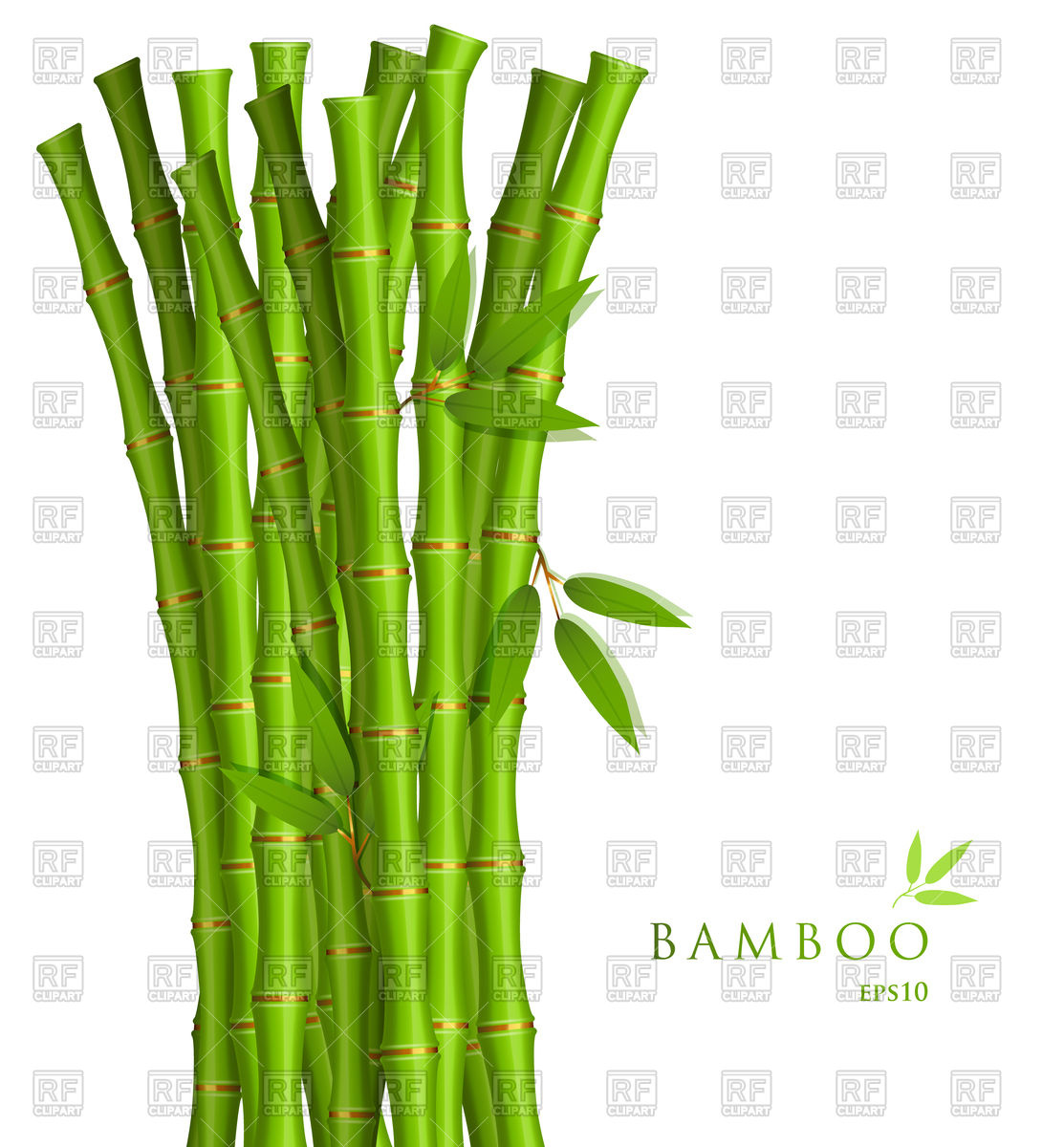 1113x1200 Background With Green Bamboo Vector Image Vector Artwork Of