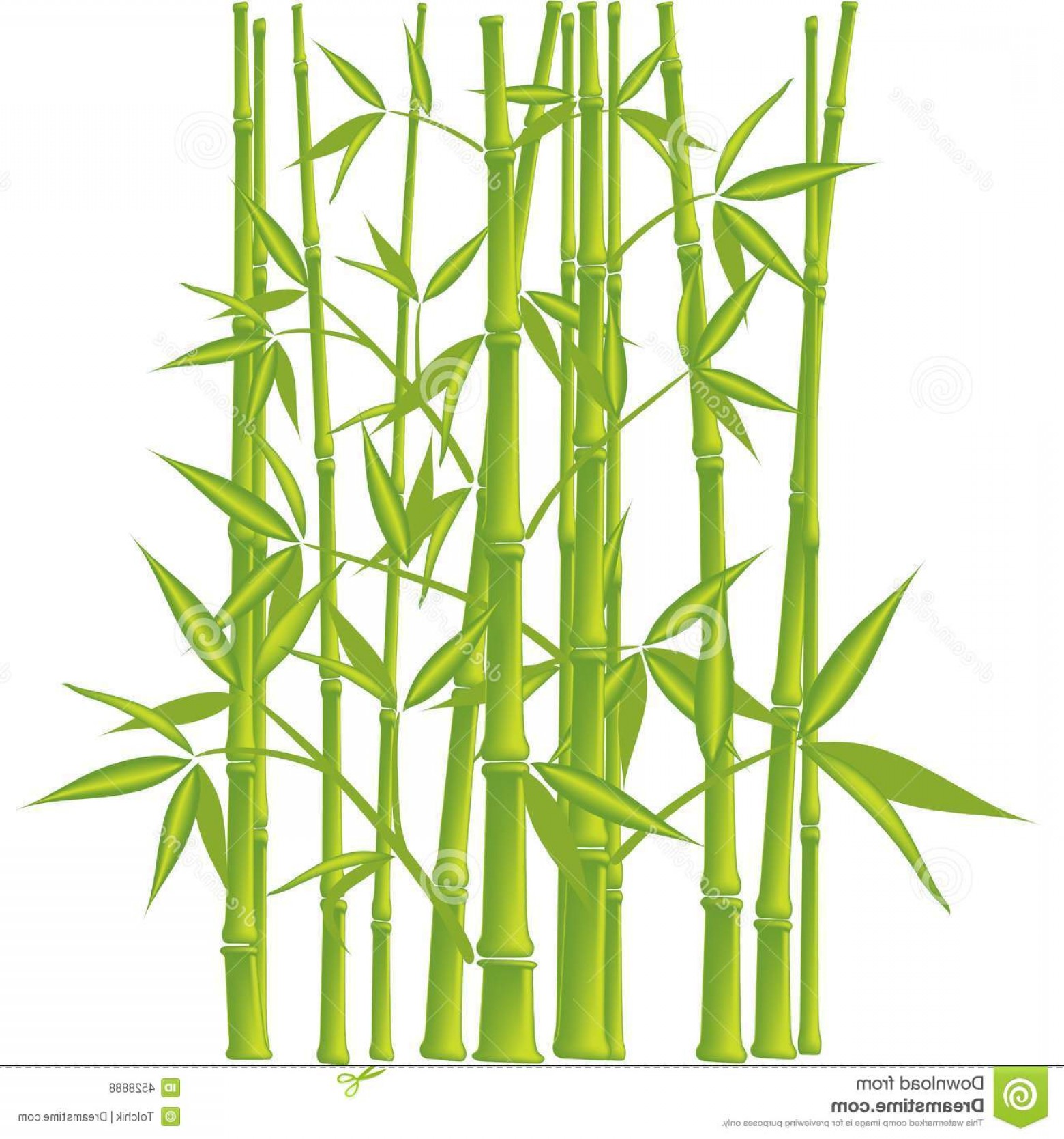 1560x1668 Bamboo Vector Arenawp