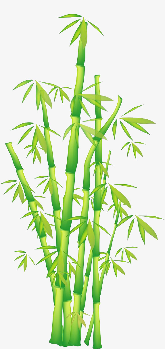 574x1216 Bamboo Vector Download, Bamboo Clipart, Bamboo Bar Vector, Green